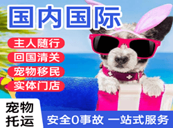 镶黄旗新宝拉格航空邮寄国际宠物托运 【国